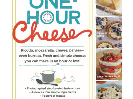 One-Hour Cheese Online Hot Sale