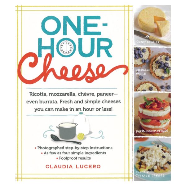 One-Hour Cheese Online Hot Sale