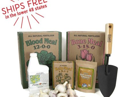 Down to Earth Organic Garlic Growing Kit on Sale