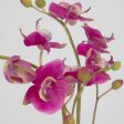 Glory Orchid - Fuchsia Orchid - Pearl Silver Sale