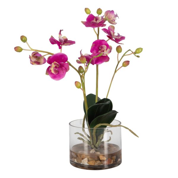 Glory Orchid - Fuchsia Orchid - Pearl Silver Sale