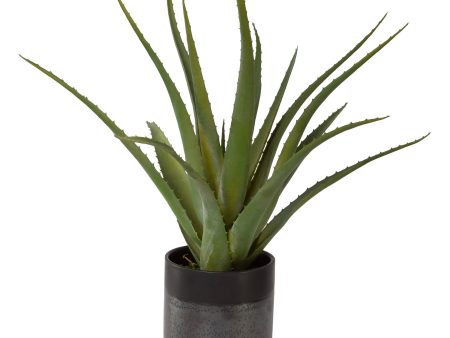 Tucson - Aloe Planter - Black Hot on Sale