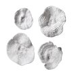 Sea Coral - Wall Art (Set of 4) - White Online Hot Sale