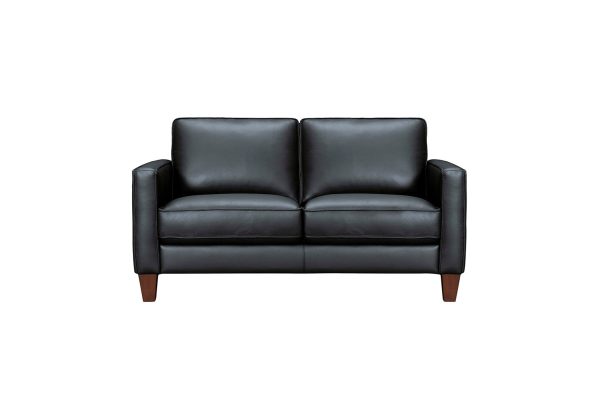 Modern Leather Loveseat For Cheap